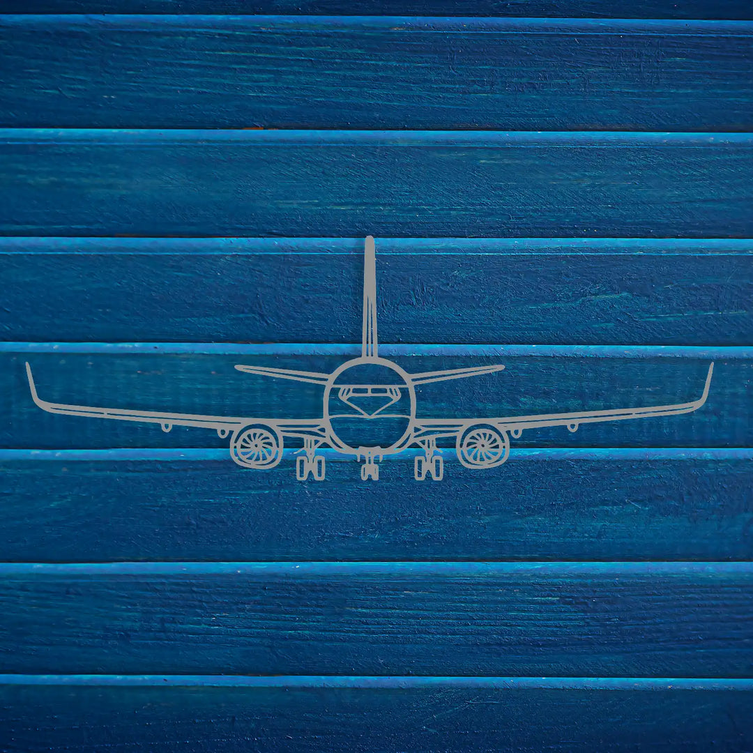 Mounted black wireframe jet blending with contemporary decor styles.