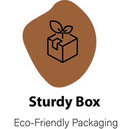Sturdy Box, Eco Friendly Packaging Logo