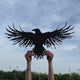 Raven Metal Wall Art Decor