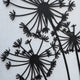 Dandelion Metal Wall Decor